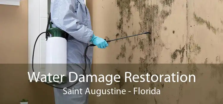 Water Damage Restoration Saint Augustine - Florida