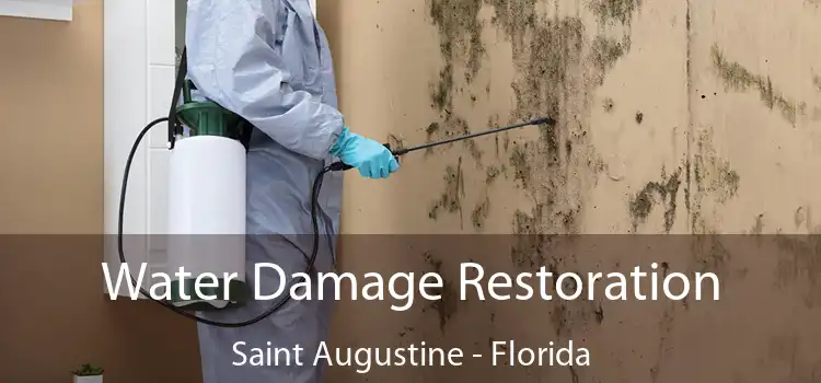 Water Damage Restoration Saint Augustine - Florida