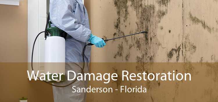 Water Damage Restoration Sanderson - Florida