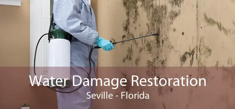 Water Damage Restoration Seville - Florida