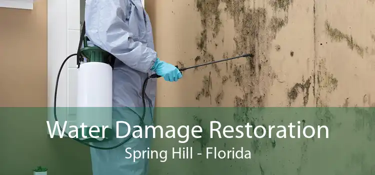 Water Damage Restoration Spring Hill - Florida