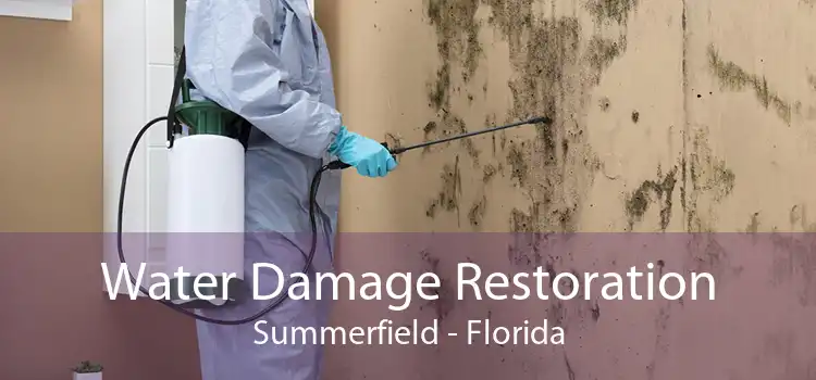 Water Damage Restoration Summerfield - Florida
