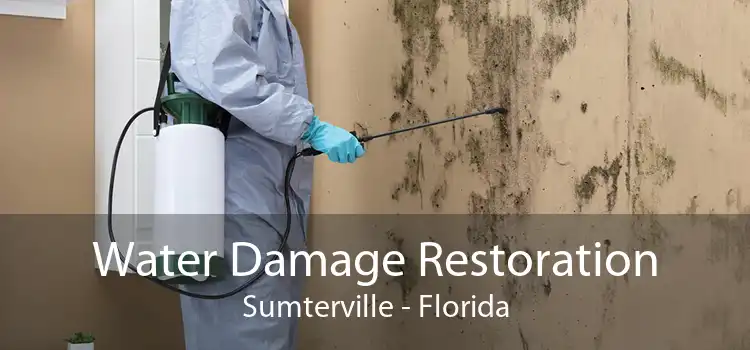 Water Damage Restoration Sumterville - Florida