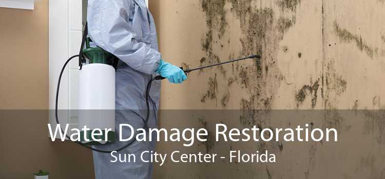 Water Damage Restoration Sun City Center - Florida