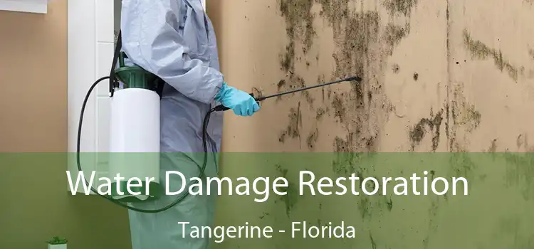 Water Damage Restoration Tangerine - Florida