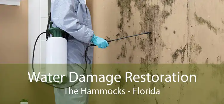 Water Damage Restoration The Hammocks - Florida