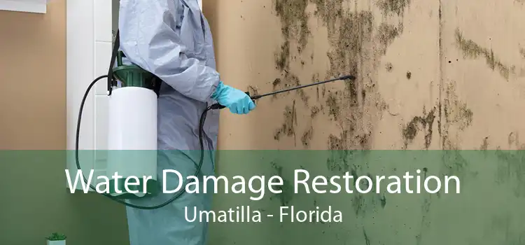 Water Damage Restoration Umatilla - Florida