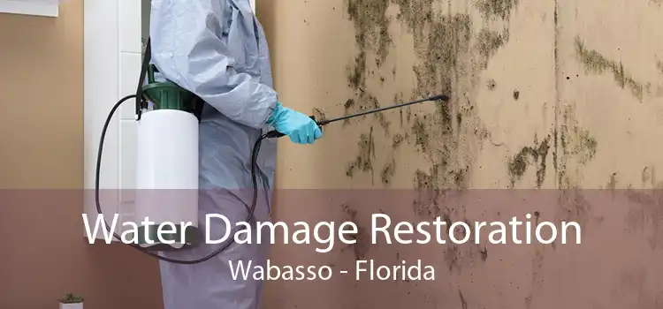 Water Damage Restoration Wabasso - Florida