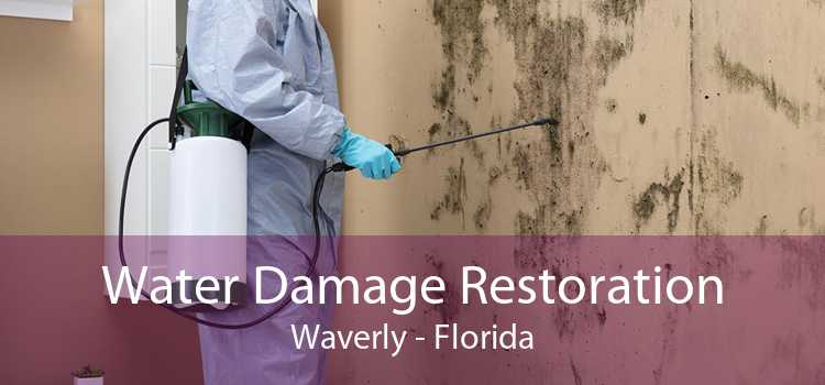 Water Damage Restoration Waverly - Florida