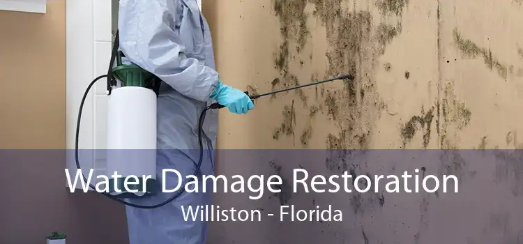 Water Damage Restoration Williston - Florida