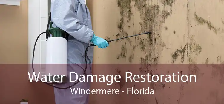 Water Damage Restoration Windermere - Florida