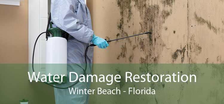 Water Damage Restoration Winter Beach - Florida
