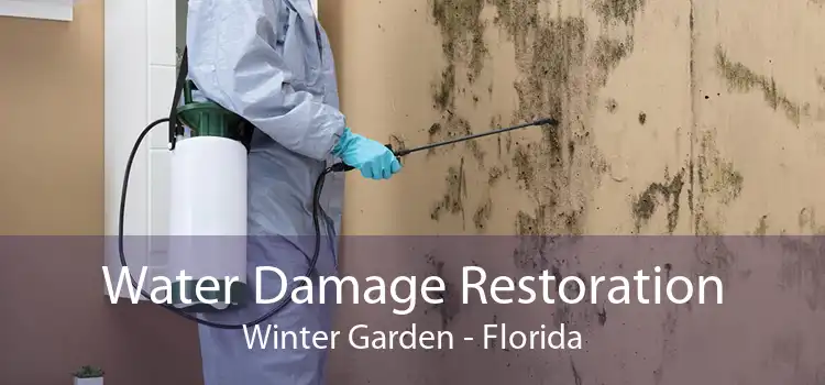 Water Damage Restoration Winter Garden - Florida