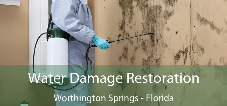 Water Damage Restoration Worthington Springs - Florida