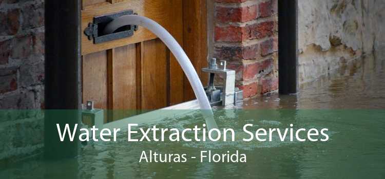 Water Extraction Services Alturas - Florida