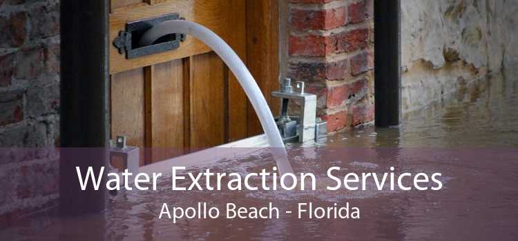 Water Extraction Services Apollo Beach - Florida