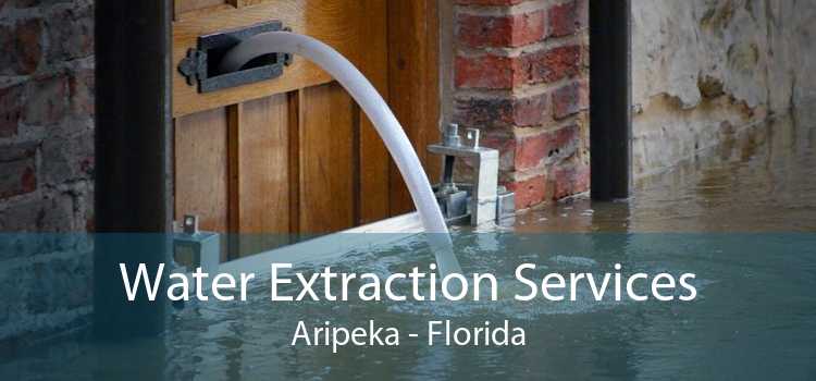 Water Extraction Services Aripeka - Florida