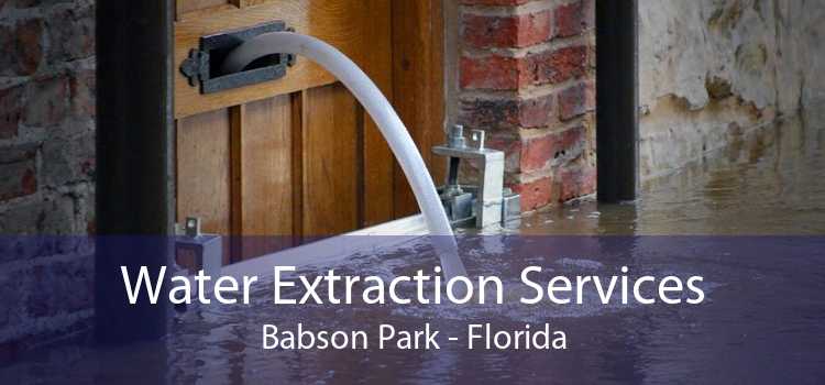 Water Extraction Services Babson Park - Florida