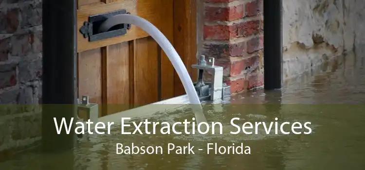 Water Extraction Services Babson Park - Florida