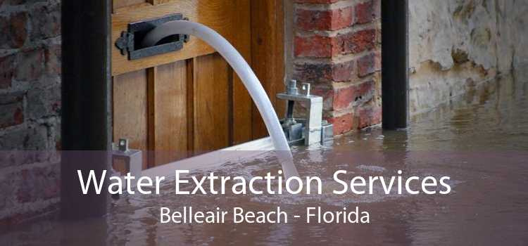 Water Extraction Services Belleair Beach - Florida