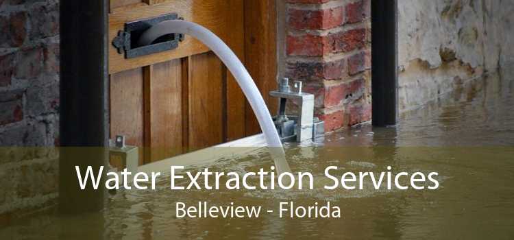 Water Extraction Services Belleview - Florida