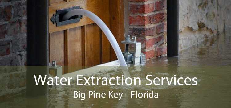 Water Extraction Services Big Pine Key - Florida