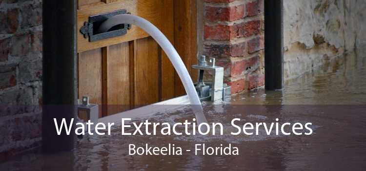 Water Extraction Services Bokeelia - Florida