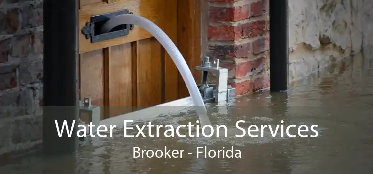 Water Extraction Services Brooker - Florida