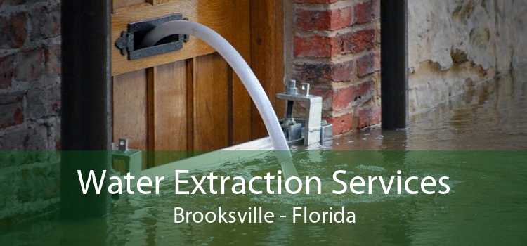 Water Extraction Services Brooksville - Florida