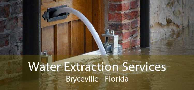 Water Extraction Services Bryceville - Florida
