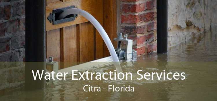 Water Extraction Services Citra - Florida