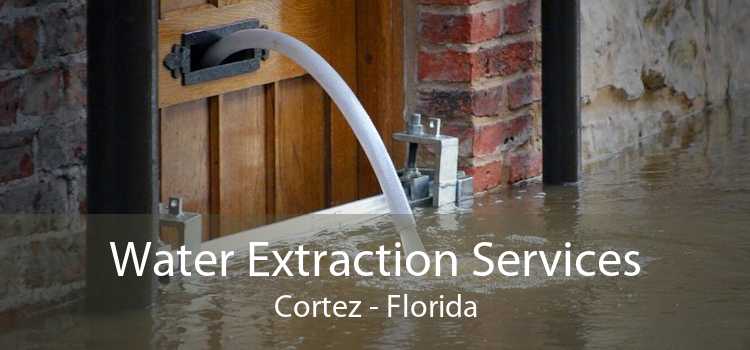 Water Extraction Services Cortez - Florida