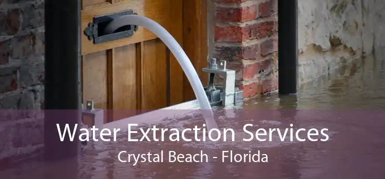 Water Extraction Services Crystal Beach - Florida