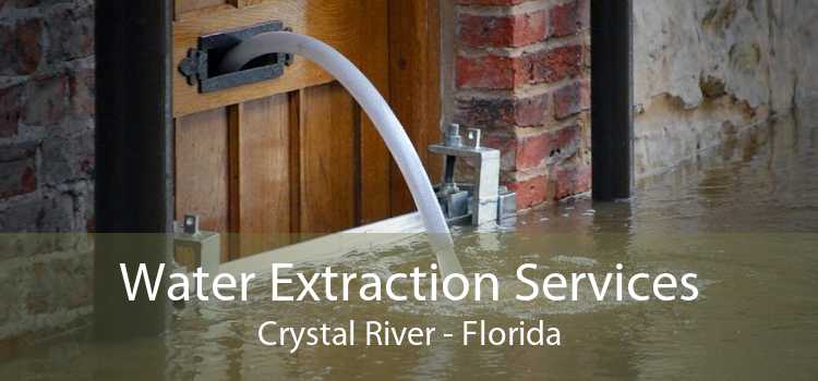 Water Extraction Services Crystal River - Florida