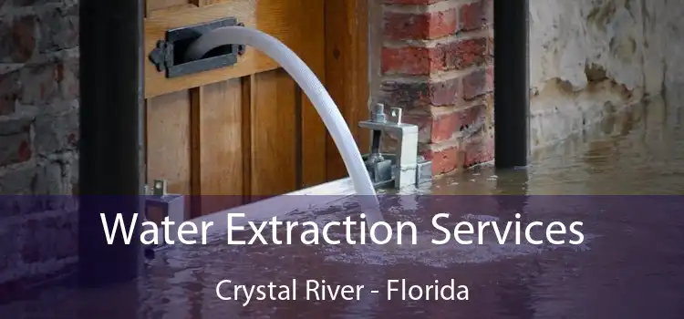 Water Extraction Services Crystal River - Florida