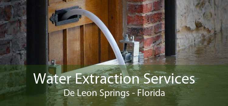 Water Extraction Services De Leon Springs - Florida