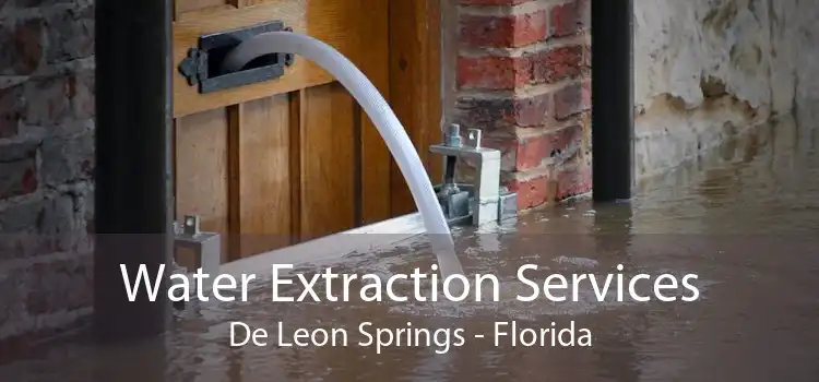 Water Extraction Services De Leon Springs - Florida