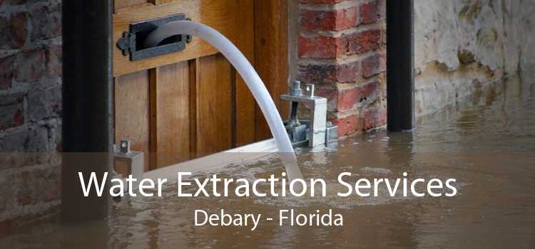 Water Extraction Services Debary - Florida