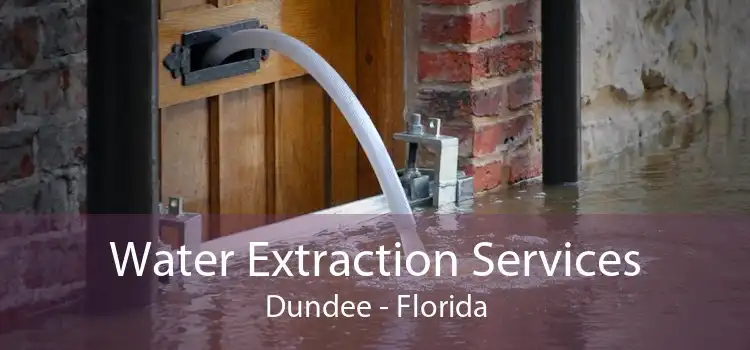 Water Extraction Services Dundee - Florida
