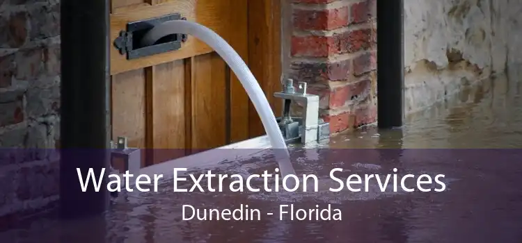 Water Extraction Services Dunedin - Florida