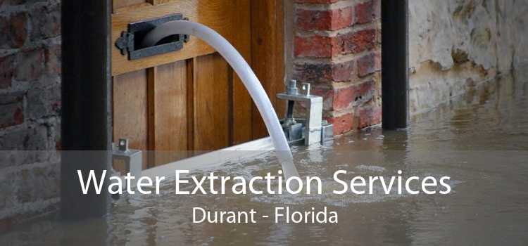 Water Extraction Services Durant - Florida