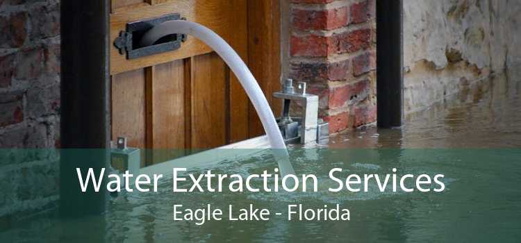 Water Extraction Services Eagle Lake - Florida