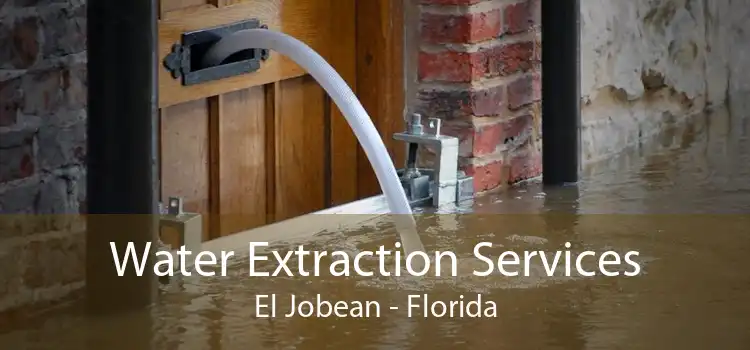Water Extraction Services El Jobean - Florida