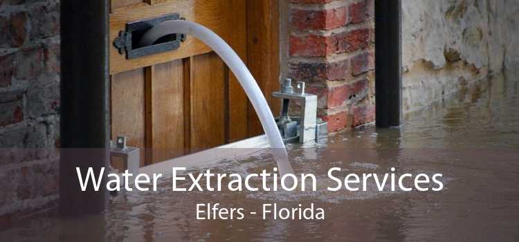 Water Extraction Services Elfers - Florida