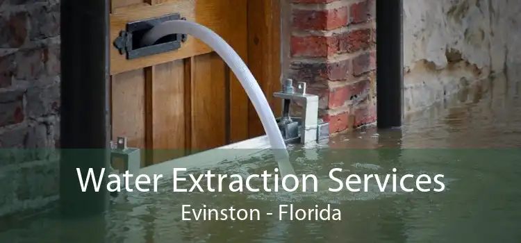 Water Extraction Services Evinston - Florida