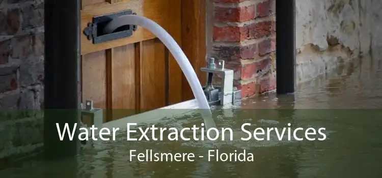 Water Extraction Services Fellsmere - Florida