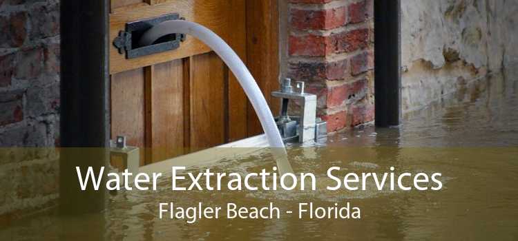 Water Extraction Services Flagler Beach - Florida