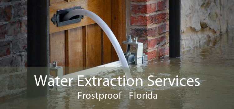 Water Extraction Services Frostproof - Florida