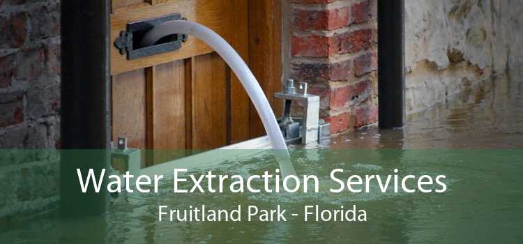 Water Extraction Services Fruitland Park - Florida