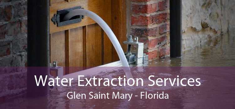 Water Extraction Services Glen Saint Mary - Florida